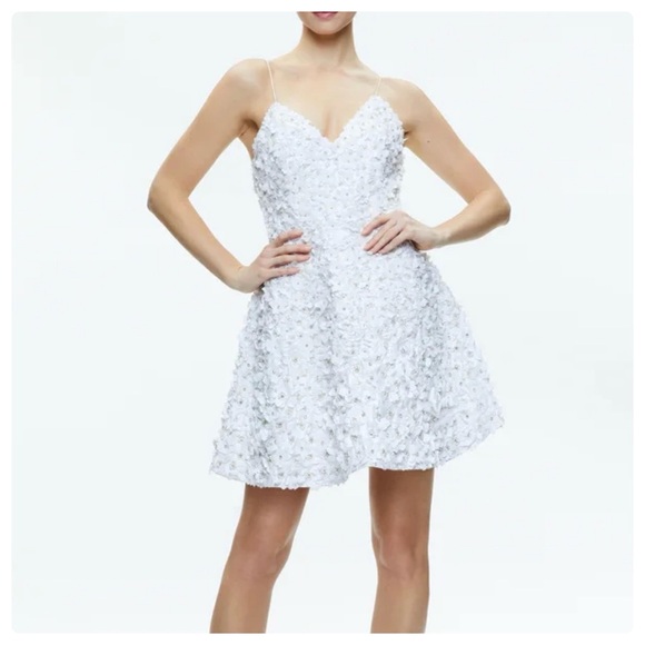 ALICE + OLIVIA Domenica Embellished Mini Gown - Picture 5 of 15